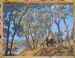 Elephants and Jackalberry Trees
