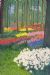 Spring Garden