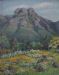 Castle Rock Kirstenbosch