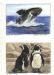 Endangered Sealife : Set of 4