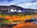 Namaqualand Farm