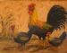 Chickens 2