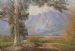 Blue Gum Tree and Mountains, Paarl