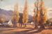Golden Poplars,Wupperthal